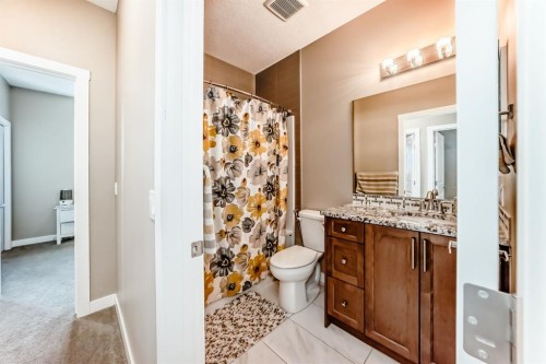 36 Red Embers Row Ne, Calgary, AB - Indoor Photo Showing Bathroom