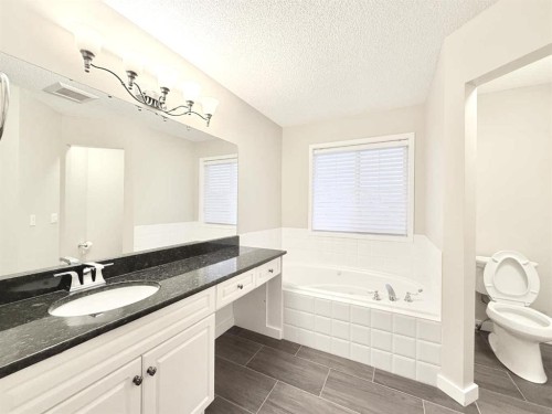 161 Springbank Place Sw, Calgary, AB - Indoor Photo Showing Bathroom