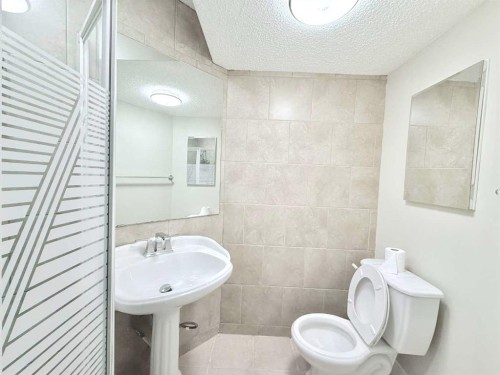 161 Springbank Place Sw, Calgary, AB - Indoor Photo Showing Bathroom