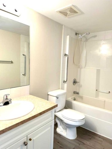 207-5555 Falsbridge Drive Ne, Calgary, AB - Indoor Photo Showing Bathroom