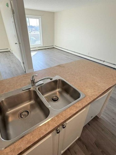 207-5555 Falsbridge Drive Ne, Calgary, AB - Indoor Photo Showing Kitchen With Double Sink