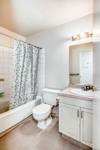 408-723 57 Avenue Sw, Calgary, AB - Indoor Photo Showing Bathroom