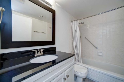 9E-133 25 Avenue Sw, Calgary, AB - Indoor Photo Showing Bathroom