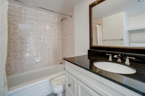 9E-133 25 Avenue Sw, Calgary, AB - Indoor Photo Showing Bathroom