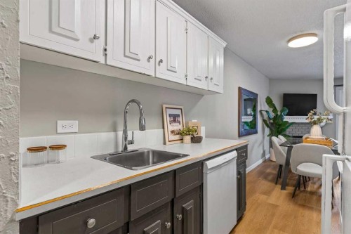 3-2212 Paliswood Road Sw, Calgary, AB - Indoor Photo Showing Kitchen