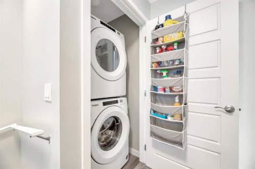 207-850 Belmont Drive Sw, Calgary, AB - Indoor Photo Showing Laundry Room