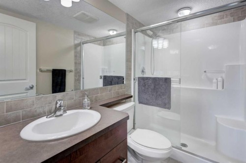 306-406 Cranberry Park Se, Calgary, AB - Indoor Photo Showing Bathroom