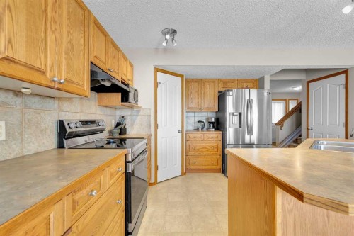132 Saddletree Close Ne, Calgary, AB - Indoor Photo Showing Kitchen With Double Sink
