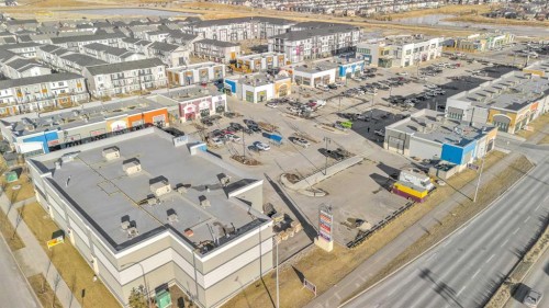 132 Saddletree Close Ne, Calgary, AB - 