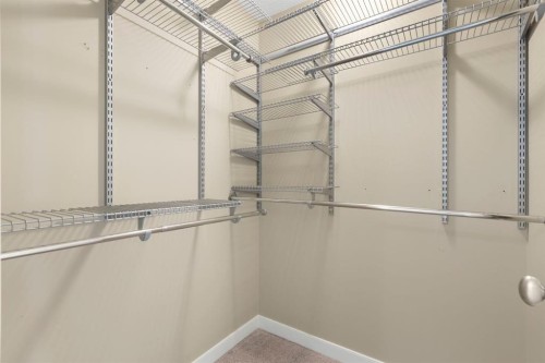 328 Silverado Plains Circle Sw, Calgary, AB - Indoor With Storage