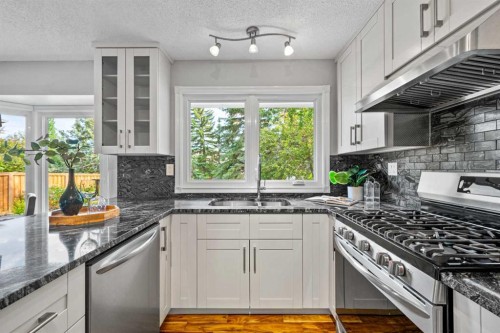 308 Parkridge Green Se, Calgary, AB - Indoor Photo Showing Kitchen With Upgraded Kitchen