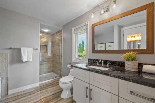 308 Parkridge Green Se, Calgary, AB - Indoor Photo Showing Bathroom