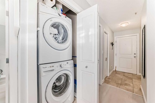 314-5 Saddlestone Way, Calgary, AB - Indoor Photo Showing Laundry Room