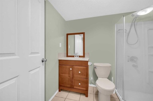 212 Tarawood Place Ne, Calgary, AB - Indoor Photo Showing Bathroom