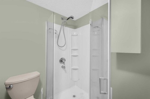 212 Tarawood Place Ne, Calgary, AB - Indoor Photo Showing Bathroom