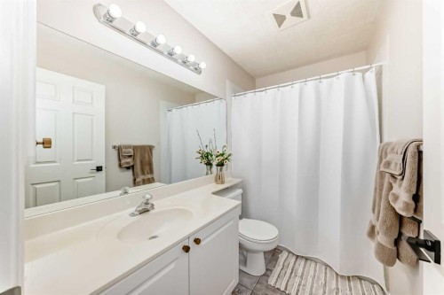 115 West Lakeview Circle, Chestermere, AB - Indoor Photo Showing Bathroom