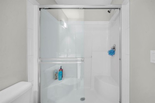 50 Copperstone Common Se, Calgary, AB - Indoor Photo Showing Bathroom
