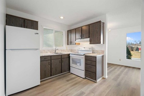 181 Dovercliffe Close Se, Calgary, AB - Indoor Photo Showing Kitchen