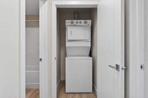 2304-15 Skyview Point Crescent Ne, Calgary, AB - Indoor Photo Showing Laundry Room