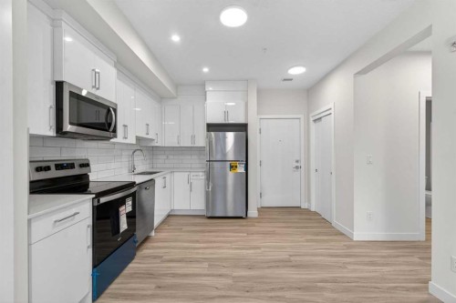 2304-15 Skyview Point Crescent Ne, Calgary, AB - Indoor Photo Showing Kitchen With Stainless Steel Kitchen With Upgraded Kitchen