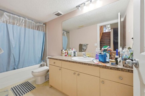 104 Taralake Common Ne, Calgary, AB - Indoor Photo Showing Bathroom