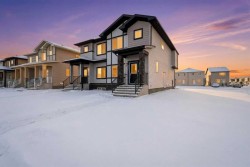 21 Cornerbrook Lane NE Calgary, AB T3N 2H1
