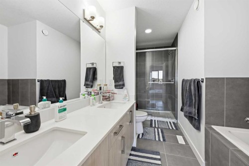 21 Cornerbrook Lane Ne, Calgary, AB - Indoor Photo Showing Bathroom