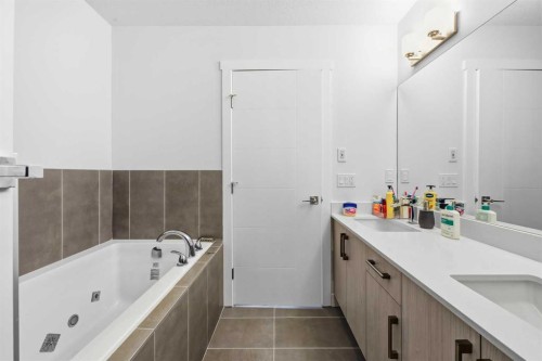 21 Cornerbrook Lane Ne, Calgary, AB - Indoor Photo Showing Bathroom