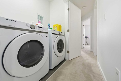 21 Cornerbrook Lane Ne, Calgary, AB - Indoor Photo Showing Laundry Room