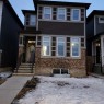 186 Cornerstone Road Ne, Calgary, AB  - Outdoor With Facade 