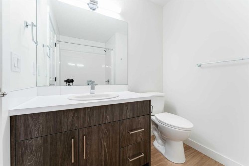 1921 Mccaskill Drive, Crossfield, AB - Indoor Photo Showing Bathroom