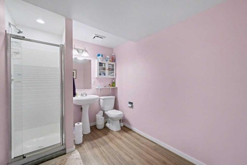 29 Erin Green Way Se, Calgary, AB - Indoor Photo Showing Bathroom