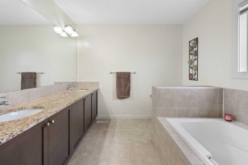 47 Copperstone Mews Se, Calgary, AB - Indoor Photo Showing Bathroom