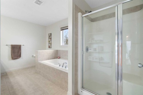 47 Copperstone Mews Se, Calgary, AB - Indoor Photo Showing Bathroom