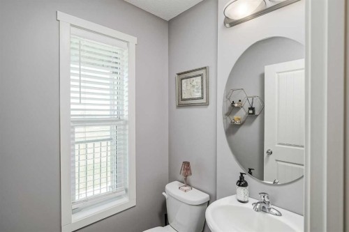 313 Copperpond Landing Se, Calgary, AB - Indoor Photo Showing Bathroom