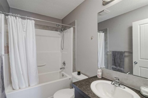313 Copperpond Landing Se, Calgary, AB - Indoor Photo Showing Bathroom