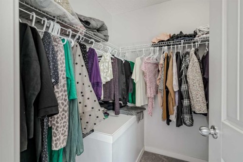 313 Copperpond Landing Se, Calgary, AB - Indoor With Storage