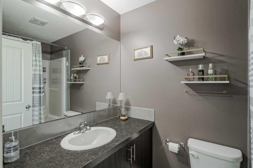 313 Copperpond Landing Se, Calgary, AB - Indoor Photo Showing Bathroom