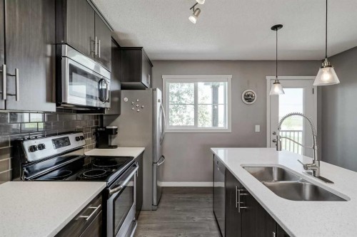 313 Copperpond Landing Se, Calgary, AB - Indoor Photo Showing Kitchen With Double Sink