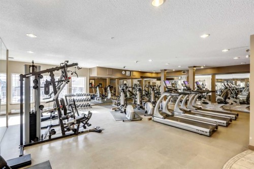 534-10 Discovery Ridge Close Sw, Calgary, AB - Indoor Photo Showing Gym Room