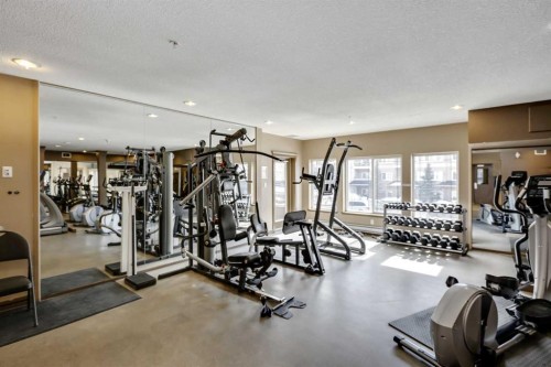 534-10 Discovery Ridge Close Sw, Calgary, AB - Indoor Photo Showing Gym Room