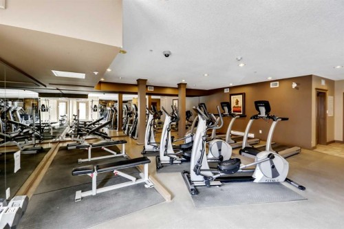 534-10 Discovery Ridge Close Sw, Calgary, AB - Indoor Photo Showing Gym Room