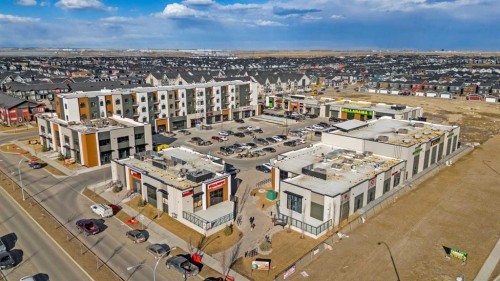 1125-235 Red Embers Way Ne, Calgary, AB 