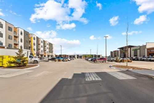 1125-235 Red Embers Way Ne, Calgary, AB 