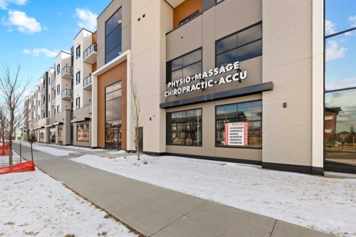 1125-235 Red Embers Way Ne, Calgary, AB 