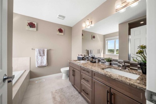 353 Windrow Crescent Sw, Airdrie, AB - Indoor Photo Showing Bathroom