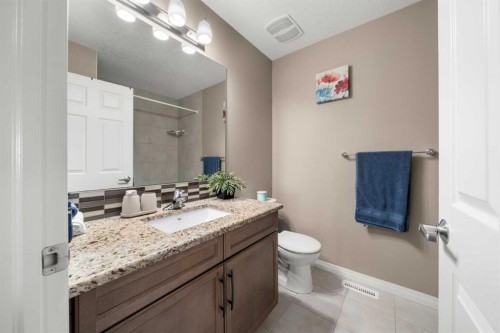 353 Windrow Crescent Sw, Airdrie, AB - Indoor Photo Showing Bathroom