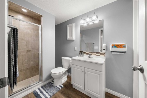 353 Windrow Crescent Sw, Airdrie, AB - Indoor Photo Showing Bathroom