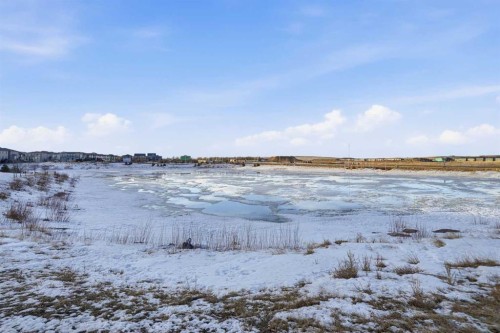 353 Windrow Crescent Sw, Airdrie, AB - Outdoor With View