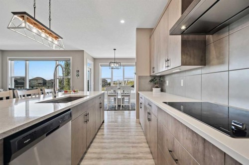 13 Cranbrook Cove Se, Calgary, AB - Indoor Photo Showing Kitchen With Double Sink With Upgraded Kitchen
